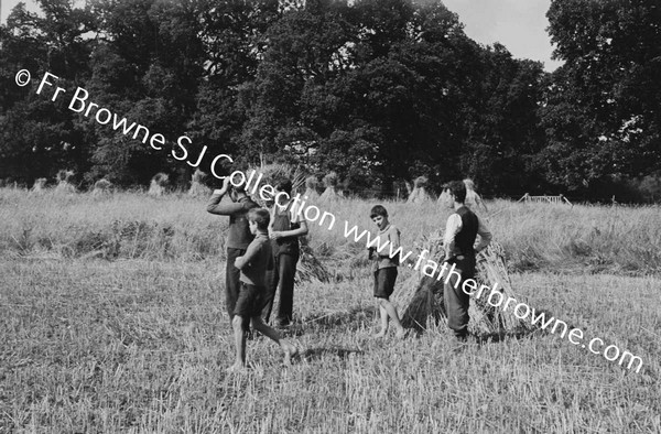 HARVESTING AT ST MARY'S THE HELPERS